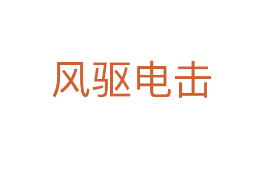 风驱电击