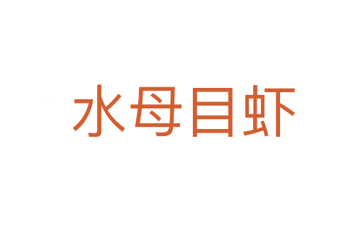 水母目虾