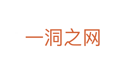 一洞之网