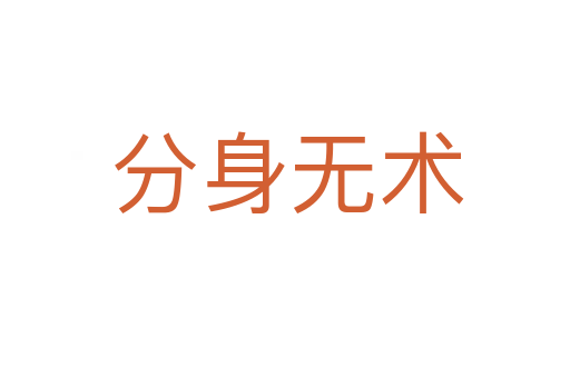 分身无术