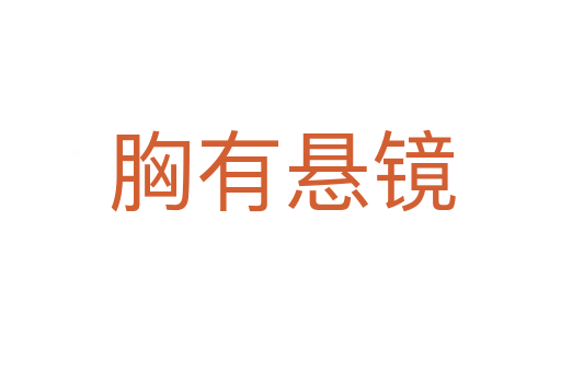 胸有悬镜