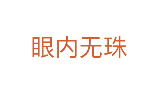 眼内无珠