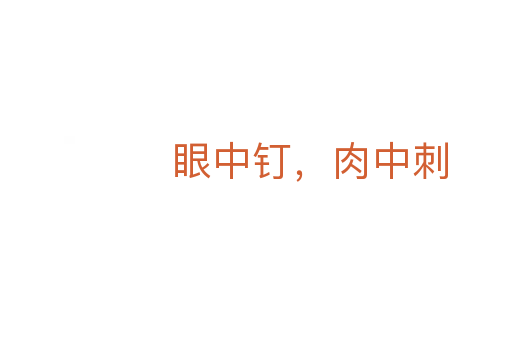 眼中钉,肉中刺