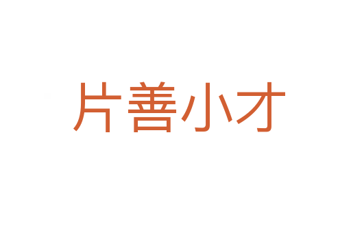 片善小才