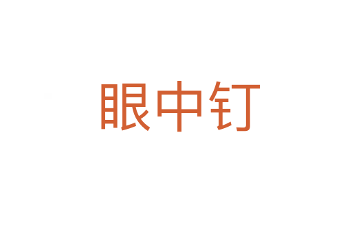 眼中钉