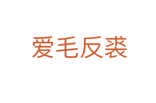 爱毛反裘