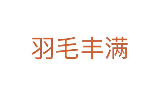 羽毛丰满