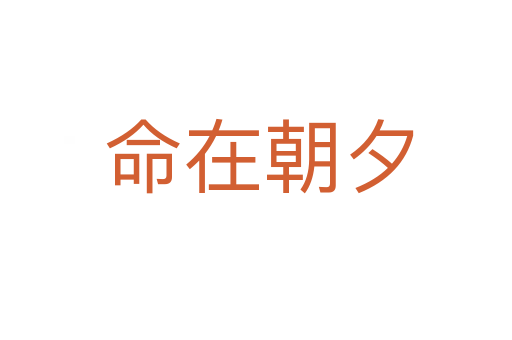 命在朝夕