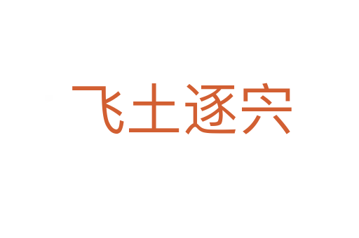 飞土逐宍
