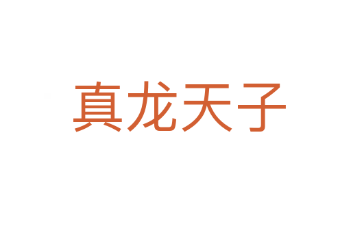 真龙天子