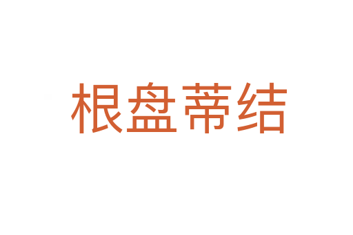 根盘蒂结