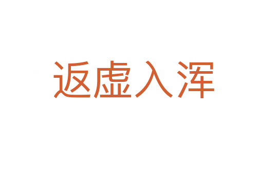 返虚入浑