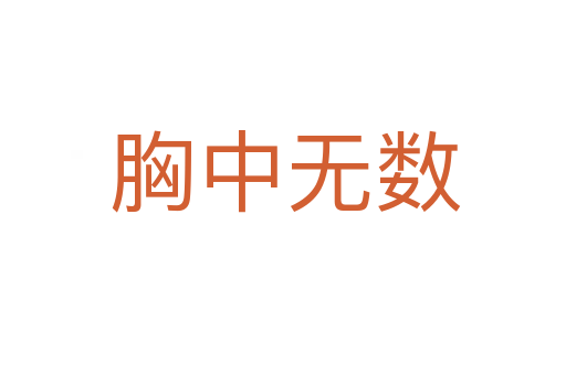 胸中无数