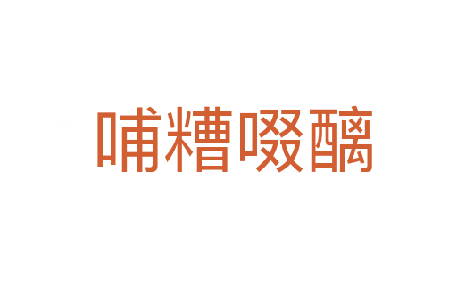 哺糟啜醨