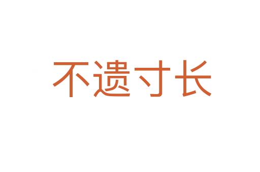 不遗寸长