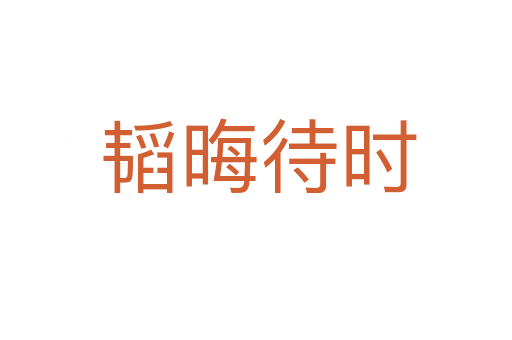 韬晦待时