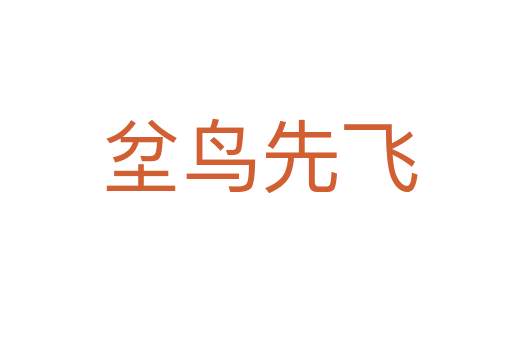 坌鸟先飞