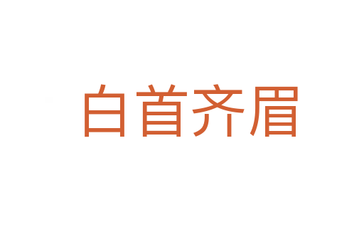 白首齐眉