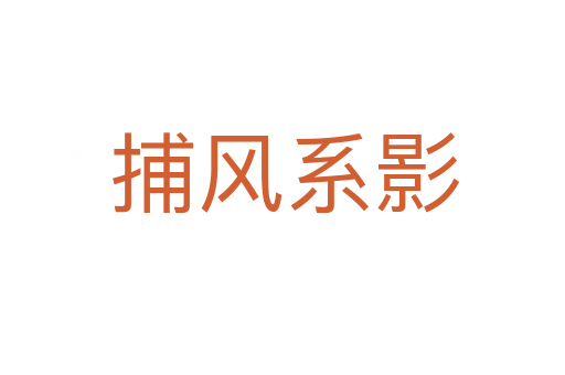 捕风系影