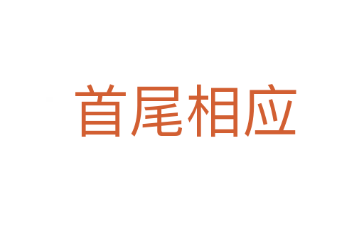 首尾相应