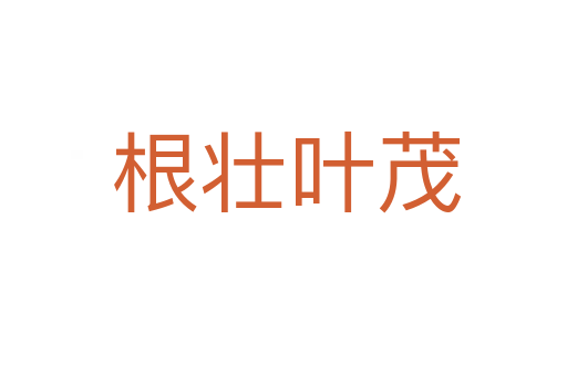 根壮叶茂