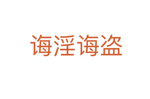 诲淫诲盗