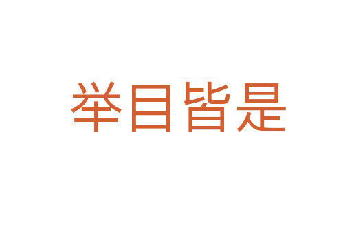 举目皆是