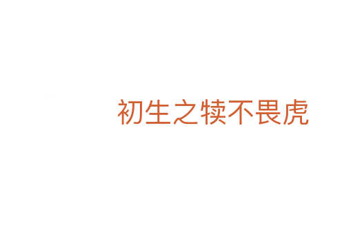 初生之犊不畏虎