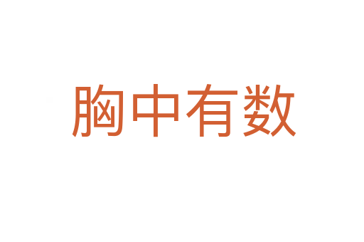 胸中有数