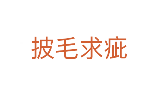 披毛求疵