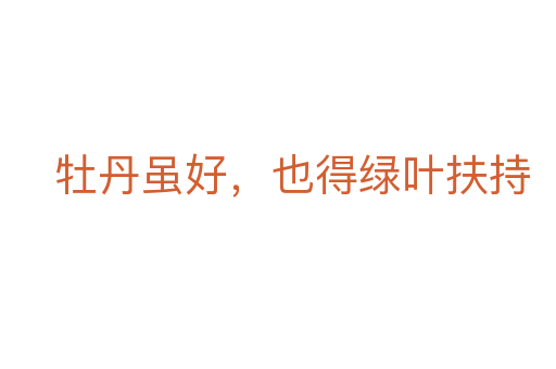 牡丹虽好,也得绿叶扶持