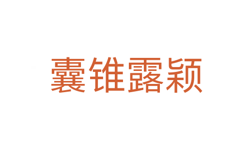 囊锥露颖