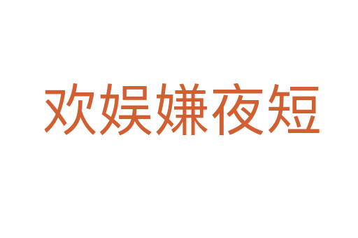 欢娱嫌夜短