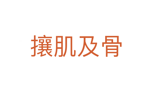 攘肌及骨