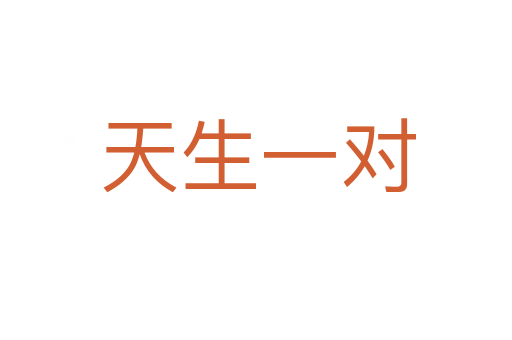 天生一对