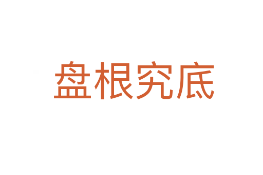 盘根究底