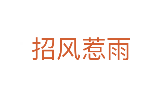 招风惹雨