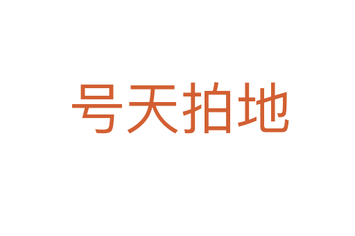 号天拍地