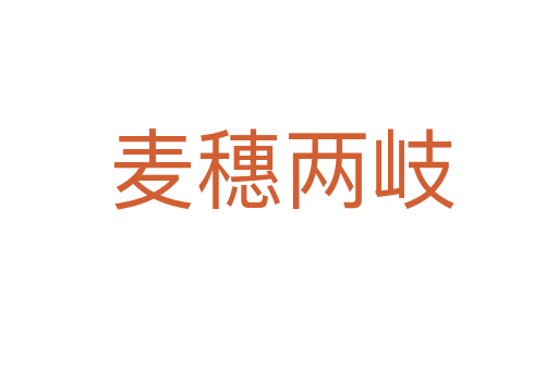 麦穗两岐