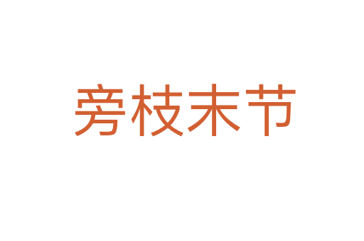 旁枝末节