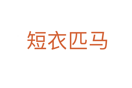 短衣匹马