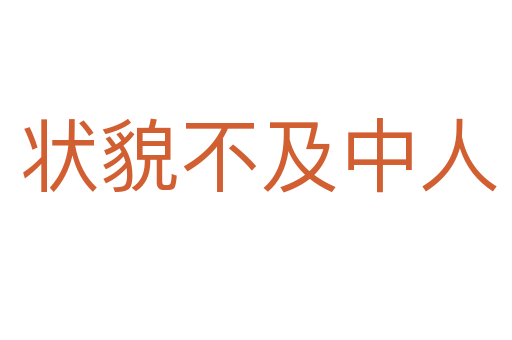 状貌不及中人
