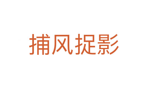 捕风捉影