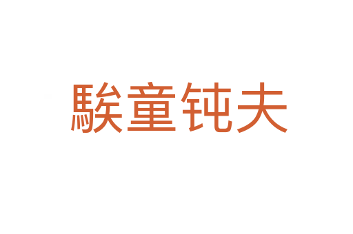 騃童钝夫