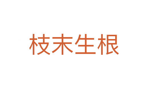 枝末生根