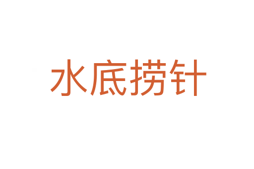 水底捞针