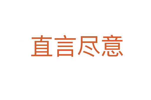 直言尽意