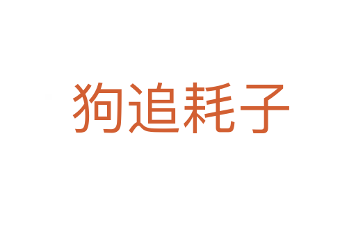 狗追耗子