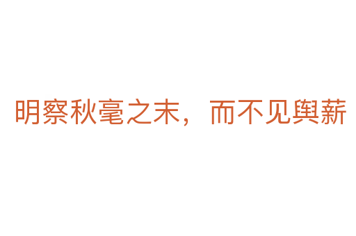 明察秋毫之末,而不见舆薪