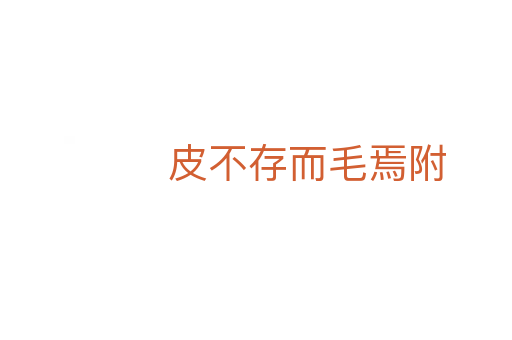 皮不存而毛焉附